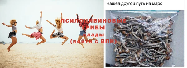 сатива Новодвинск