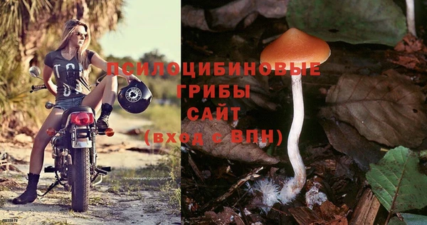 марки lsd Новозыбков