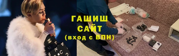 сатива Новодвинск