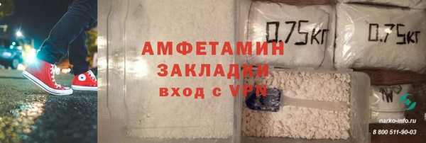 сатива Новодвинск