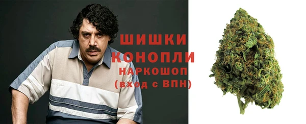 марки lsd Новозыбков
