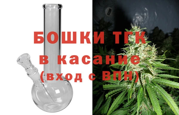 сатива Новодвинск