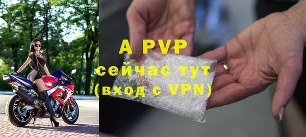 сатива Новодвинск