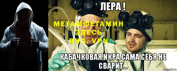 сатива Новодвинск