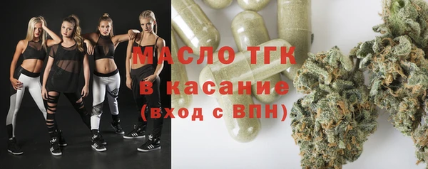 сатива Новодвинск