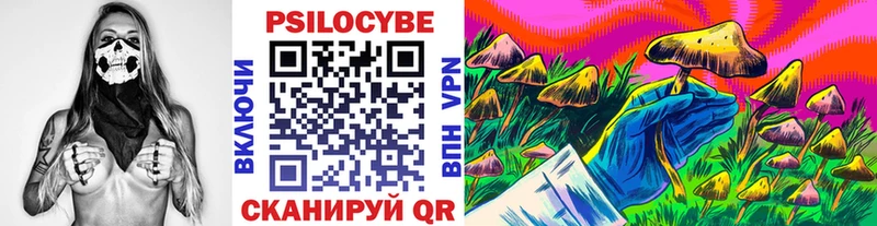 цены наркотик  Оха  Галлюциногенные грибы Psilocybine cubensis 